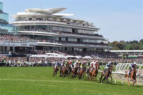 2022 Melbourne Cup dividends: How much did the winner pay for  .